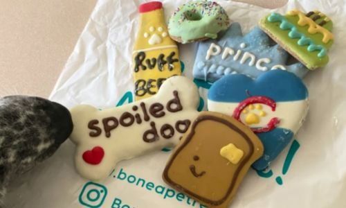 Tendencia en auge: Emprender en repostería y snacks para mascotas conquista corazones y colitas 9