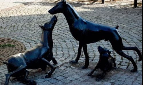 (3) “Dóberman Pinscher: Características, Cuidados y Todo lo que Debes Saber de Esta Raza Imponente” 4
