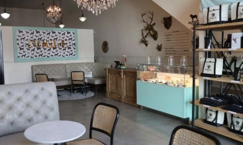 Tendencia en auge: Emprender en repostería y snacks para mascotas conquista corazones y colitas 11
