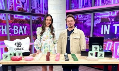 Tendencia en auge: Emprender en repostería y snacks para mascotas conquista corazones y colitas 12