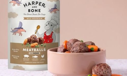 Tendencia en auge: Emprender en repostería y snacks para mascotas conquista corazones y colitas 13
