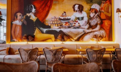 Tendencia en auge: Emprender en repostería y snacks para mascotas conquista corazones y colitas 17