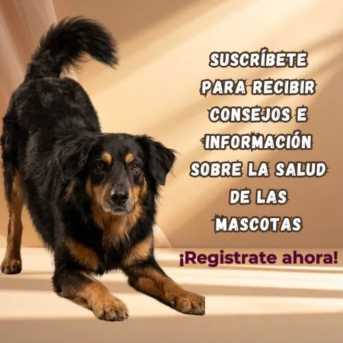 Suscríbete para recibir consejos e información sobre la salud de las mascotas