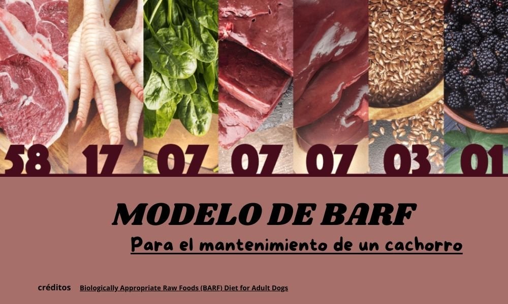 Dieta BARF Avanzado