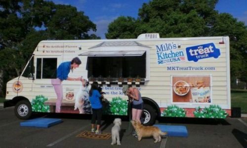 Tendencia en auge: Emprender en repostería y snacks para mascotas conquista corazones y colitas 4