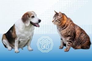 Dieta Cocinada para Mascotas con obesidad
