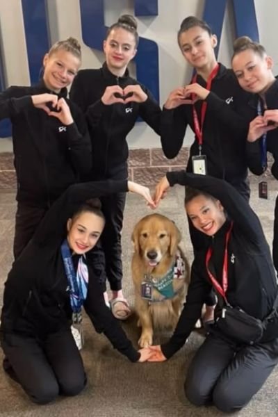 Beacon el Golden Retriever que Iluminó París 2024: Un Caniheroe que demostró el Verdadero Valor del Apoyo Emocional 3 Beacon el Golden Retriever