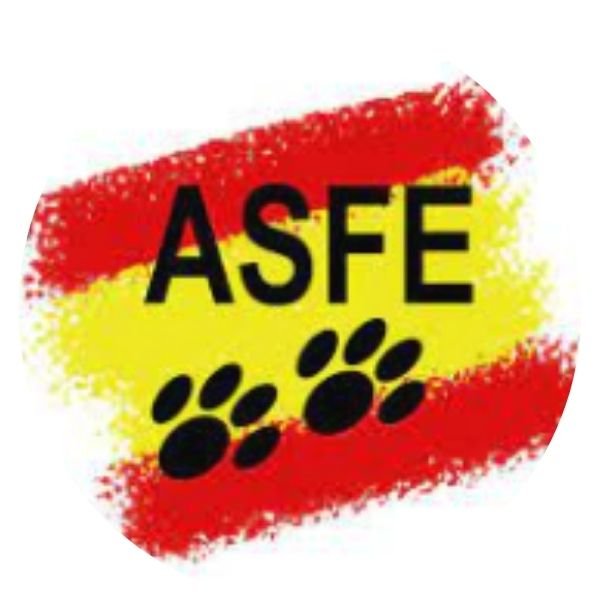 10 Clubes Felinos. Líder en Exposiciones Internacionales. 9 club felino españa