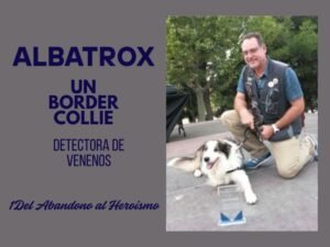 albatrox o Alba