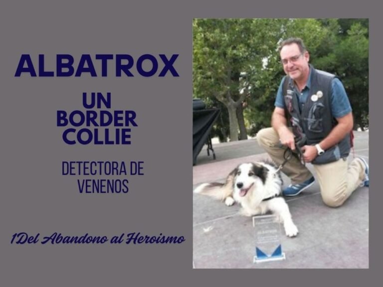 albatrox o Alba