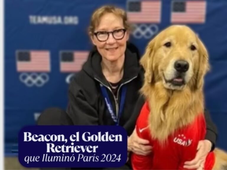 Beacon, el Golden Retriever que Iluminó París 2024