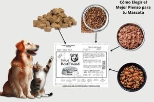 Alimento para Mascotas: Beneficios, Cómo Elegir el Mejor y Comparativa con Dieta BARF y Casera (Parte 2) 3