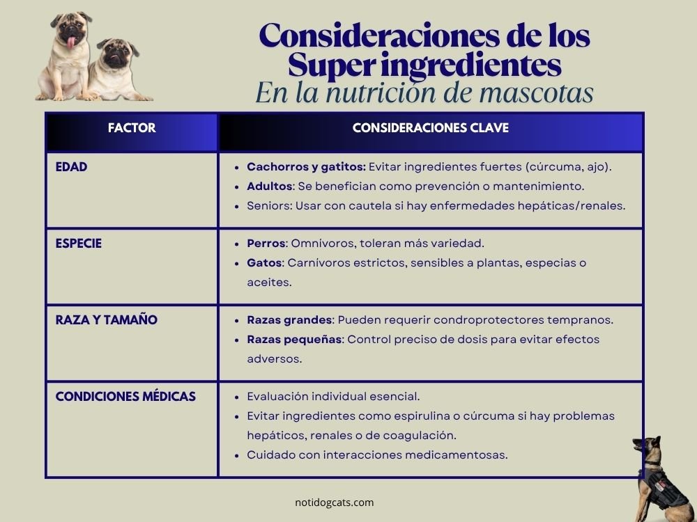 Alimentos funcionales y súper-ingredientes: Refuerza la salud de tu mascota desde su plato 6 Consideraciones de los super ingredientes en los alimentos funcionales