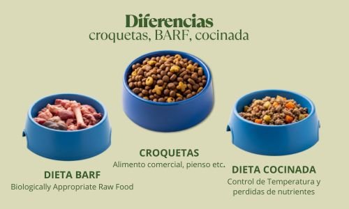 Alimento para Mascotas: Beneficios, Cómo Elegir el Mejor y Comparativa con Dieta BARF y Casera (Parte 2) 15