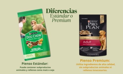 Alimento para Mascotas: Beneficios, Cómo Elegir el Mejor y Comparativa con Dieta BARF y Casera (Parte 2) 9
