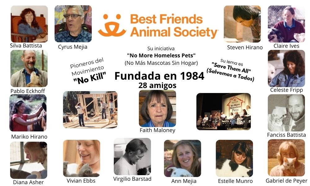 El Origen Histórico de los Refugios de Animales: De la Compasión a la Acción Organizada 4 Origen Refugios de Animales Best friends animal society