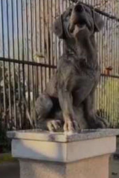 "Legado K9: Héroes Caninos entre la Historia, la Ficción y la Realidad" (PARTE 4) 7