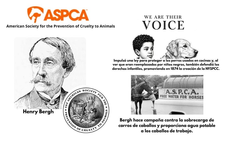 El Origen Histórico de los Refugios de Animales: De la Compasión a la Acción Organizada 3 Origen Refugios de Animales ASPCA