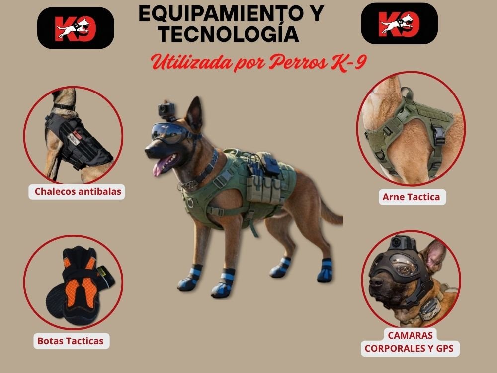 infografía de un K9 equipado