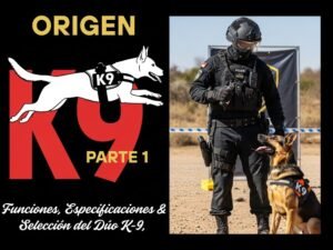 k9 Origen, funciones y selección del dúo k9