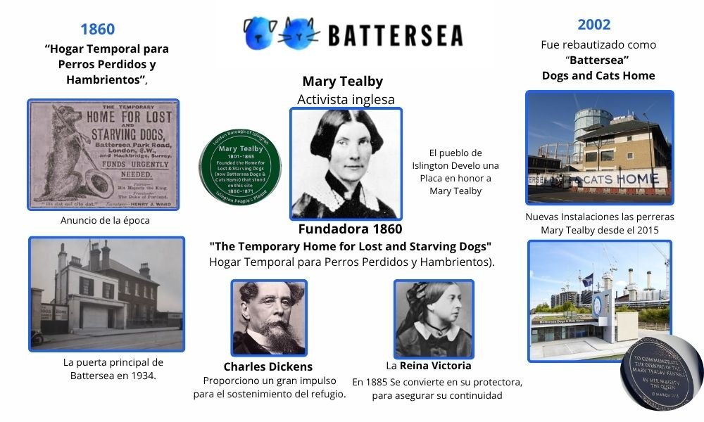 El Origen Histórico de los Refugios de Animales: De la Compasión a la Acción Organizada 5 Origen Refugios de Animales battersea