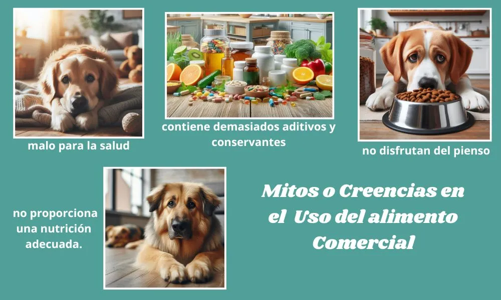 Mitos o Creencias del Uso del alimento Comercialss Mitos sobre el uso de alimento comercial