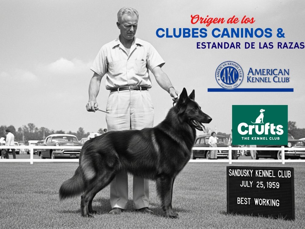 ORIGEN DE LOS CLUBES CANINOS