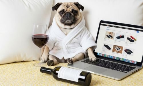 (6) Raza Canina Pug: Historia, personalidad y cuidados específicos 10