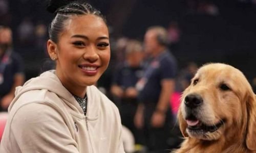Beacon el Golden Retriever que Iluminó París 2024: Un Caniheroe que demostró el Verdadero Valor del Apoyo Emocional 4 Beacon el Golden Retriever