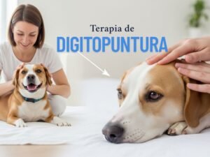 terapia de digitopuntura