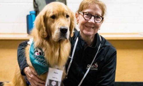 Beacon el Golden Retriever que Iluminó París 2024: Un Caniheroe que demostró el Verdadero Valor del Apoyo Emocional 5