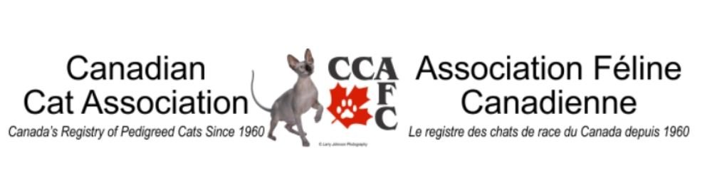10 Clubes Felinos. Líder en Exposiciones Internacionales. 5 club felino canada