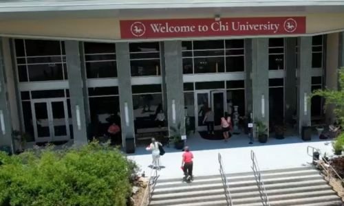 (2) Bienestar Natural para tu Mascota: La Digitopuntura como Terapia Sanadora 7 digitopuntura por universidades chi