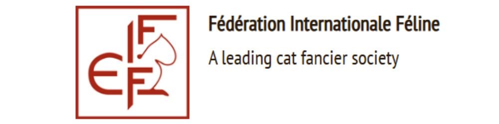 10 Clubes Felinos. Líder en Exposiciones Internacionales. 11 club felino china