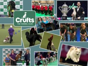 competencias de Crufts