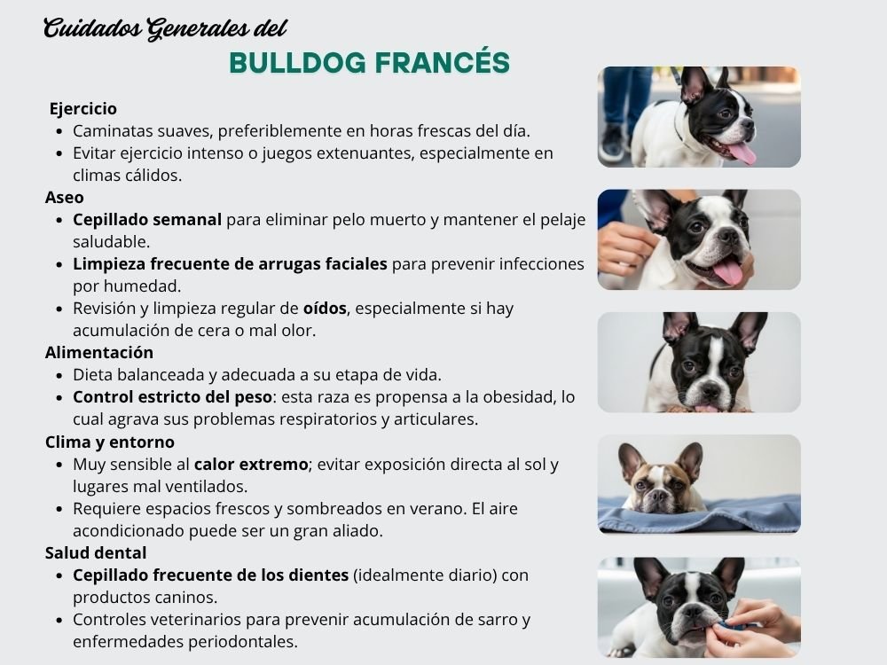 cuidados necesarios