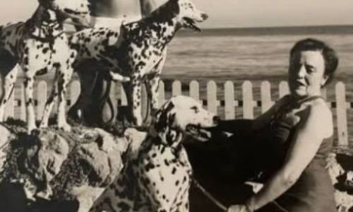 El origen mágico de 101 Dálmatas: Un cuento de amor, creatividad y audacia 3