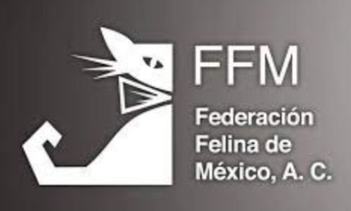 10 Clubes Felinos. Líder en Exposiciones Internacionales. 4 club felino mexico