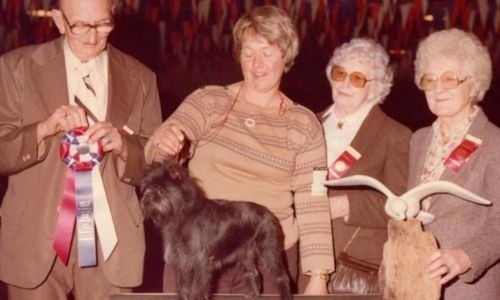 "Historia de los Primeros Clubes Caninos y Estándares de Raza: Cómo Surgieron y Transformaron el Mundo de los Perros"🐾 4