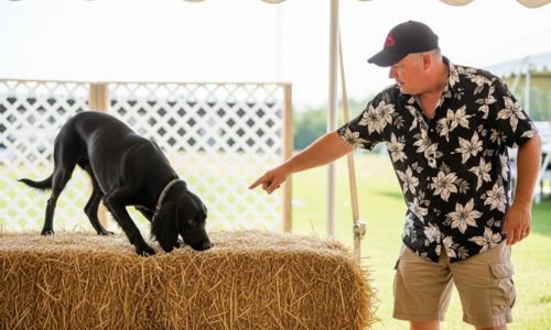 "Historia de los Primeros Clubes Caninos y Estándares de Raza: Cómo Surgieron y Transformaron el Mundo de los Perros"🐾 8