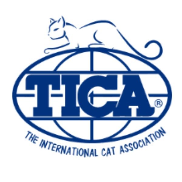 10 Clubes Felinos. Líder en Exposiciones Internacionales. 2 club felino TICA