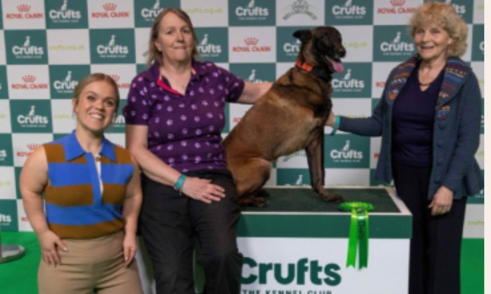 Baloo Ganadora del "HERO DOG AWARD" CRUFT 2025