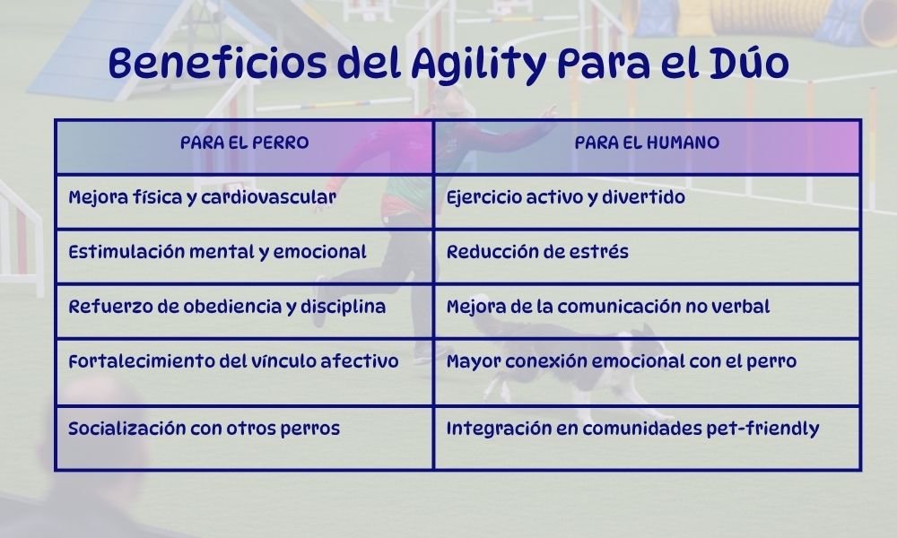 (21) Agility Canino: Un Genial Deporte, Diversión y Vínculo Inquebrantable 6 Agility Canino Beneficios