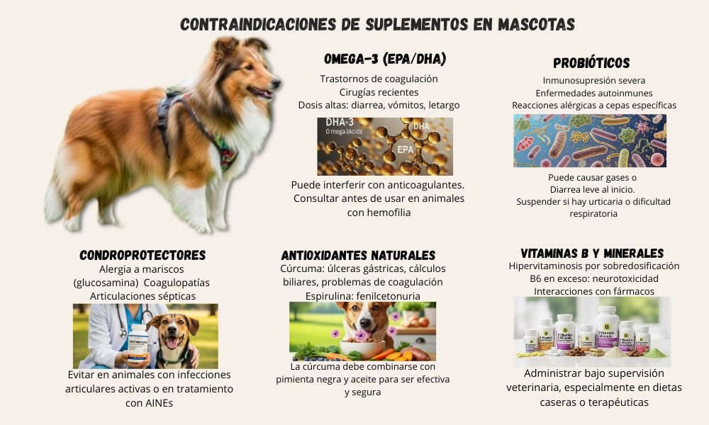 Longevidad en tus mascotas contraindicaciones de los suplementos