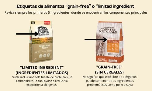 Alergias Alimentarias en Mascotas: Diagnóstico Eficaz Pruebas y Dietas Recomendadas 9