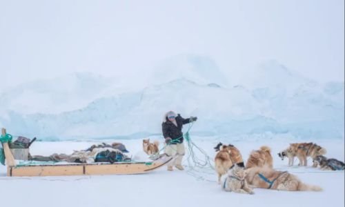 (15) Fotografía con Mascotas Fenomenal Concurso de Captación 12 fotografía con mascotas 1er premio categoría documentary