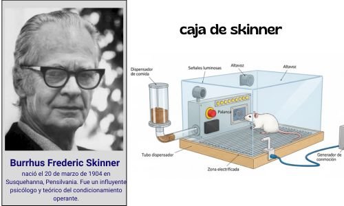 Caja de skinner
