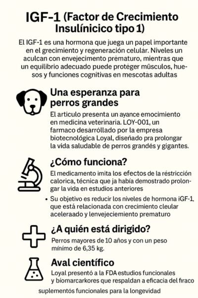 Longevidad en tus mascotas igf-1