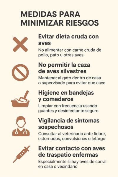 dieta cruda prevención gatos