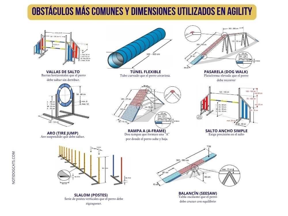 (21) Agility Canino: Un Genial Deporte, Diversión y Vínculo Inquebrantable 4 Agility Canino obstáculos
